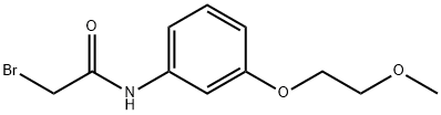 2-Bromo-N-[3-(2-methoxyethoxy)phenyl]acetamide Struktur