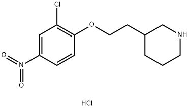 3-[2-(2-Chloro-4-nitrophenoxy)ethyl]piperidinehydrochloride Struktur