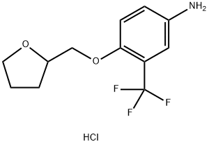 4-(TETRAHYDRO-2-FURANYLMETHOXY)-3-(TRIFLUOROMETHYL)ANILINE HYDROCHLORIDE Struktur