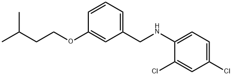 2,4-Dichloro-N-[3-(isopentyloxy)benzyl]aniline Struktur