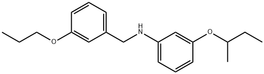 3-(sec-Butoxy)-N-(3-propoxybenzyl)aniline Struktur