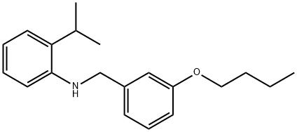 N-(3-Butoxybenzyl)-2-isopropylaniline Struktur