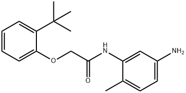 N-(5-Amino-2-methylphenyl)-2-[2-(tert-butyl)-phenoxy]acetamide Struktur