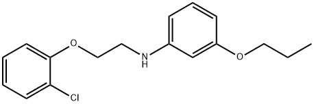 N-[2-(2-Chlorophenoxy)ethyl]-3-propoxyaniline Struktur