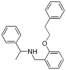 N-[2-(Phenethyloxy)benzyl]-1-phenyl-1-ethanamine Struktur