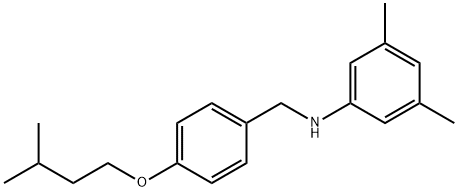 N-[4-(Isopentyloxy)benzyl]-3,5-dimethylaniline Struktur