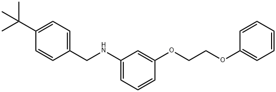 N-[4-(tert-Butyl)benzyl]-3-(2-phenoxyethoxy)-aniline Struktur