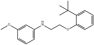 N-{2-[2-(tert-Butyl)phenoxy]ethyl}-3-methoxyaniline Struktur