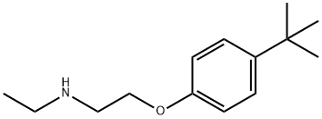 N-{2-[4-(tert-Butyl)phenoxy]ethyl}-N-ethylamine Struktur