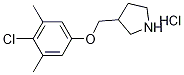 3-[(4-Chloro-3,5-dimethylphenoxy)methyl]-pyrrolidine hydrochloride Struktur