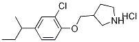 3-{[4-(sec-Butyl)-2-chlorophenoxy]-methyl}pyrrolidine hydrochloride Struktur