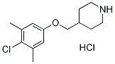 4-[(4-Chloro-3,5-dimethylphenoxy)methyl]piperidine hydrochloride Struktur