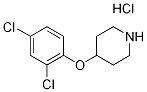 4-(2,4-Dichlorophenoxy)piperidine hydrochloride Struktur