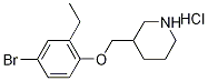 3-[(4-Bromo-2-ethylphenoxy)methyl]piperidinehydrochloride Struktur