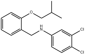 3,4-Dichloro-N-(2-isobutoxybenzyl)aniline Struktur