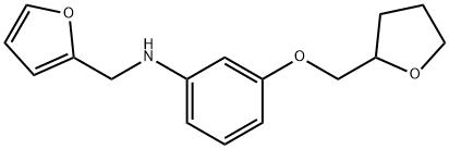 N-(2-Furylmethyl)-3-(tetrahydro-2-furanylmethoxy)aniline Struktur