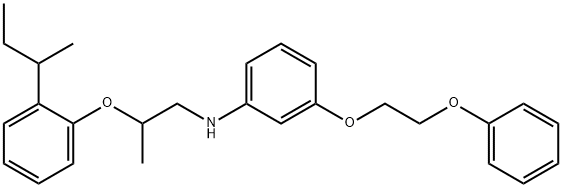 N-{2-[2-(sec-Butyl)phenoxy]propyl}-3-(2-phenoxyethoxy)aniline Struktur