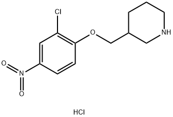 3-[(2-Chloro-4-nitrophenoxy)methyl]piperidinehydrochloride Struktur