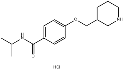 N-Isopropyl-4-(piperidin-3-ylmethoxy)benzamide hydrochloride Struktur