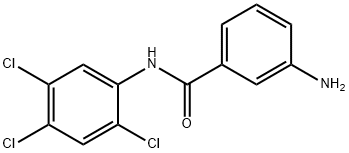 3-AMINO-N-(2,4,5-TRICHLOROPHENYL)BENZAMIDE Struktur