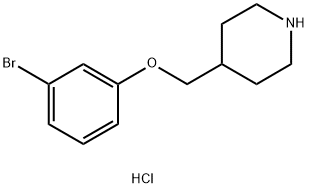 4-[(3-BROMOPHENOXY)METHYL]PIPERIDINE HYDROCHLORIDE Struktur