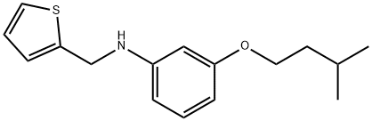 3-(Isopentyloxy)-N-(2-thienylmethyl)aniline Struktur