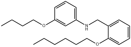 3-Butoxy-N-[2-(hexyloxy)benzyl]aniline Struktur