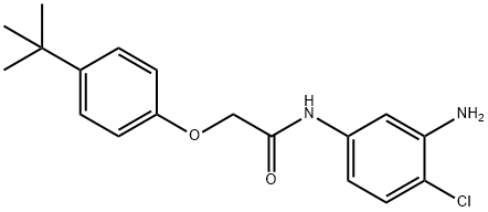 N-(3-Amino-4-chlorophenyl)-2-[4-(tert-butyl)-phenoxy]acetamide Struktur