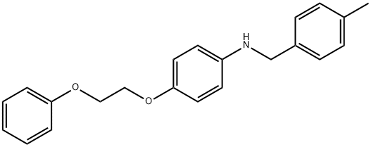 N-(4-Methylbenzyl)-4-(2-phenoxyethoxy)aniline Struktur