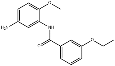 N-(5-Amino-2-methoxyphenyl)-3-ethoxybenzamide Struktur