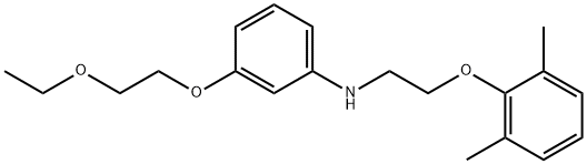 N-[2-(2,6-Dimethylphenoxy)ethyl]-3-(2-ethoxyethoxy)aniline Struktur