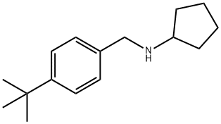 N-[4-(tert-Butyl)benzyl]cyclopentanamine Struktur