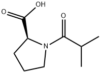 1-Isobutyrylproline Struktur