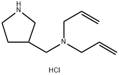 N-Allyl-N-(3-pyrrolidinylmethyl)-2-propen-1-aminedihydrochloride Struktur