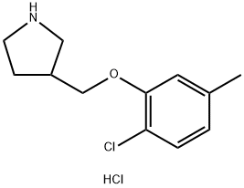 2-Chloro-5-methylphenyl 3-pyrrolidinylmethylether hydrochloride Struktur