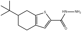 6-TERT-BUTYL-4,5,6,7-TETRAHYDRO-1-BENZOTHIOPHENE-2-CARBOHYDRAZIDE Struktur