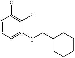 2,3-Dichloro-N-(cyclohexylmethyl)aniline Struktur