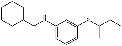 3-(sec-Butoxy)-N-(cyclohexylmethyl)aniline Struktur