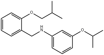 N-(2-Isobutoxybenzyl)-3-isopropoxyaniline Struktur