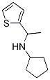 N-(1-thien-2-ylethyl)cyclopentanamine Struktur