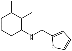 N-(2,3-dimethylcyclohexyl)-N-(2-furylmethyl)amine Struktur