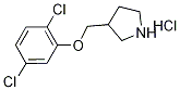 3-[(2,5-Dichlorophenoxy)methyl]pyrrolidinehydrochloride Struktur