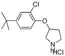 3-[4-(tert-Butyl)-2-chlorophenoxy]pyrrolidinehydrochloride Struktur