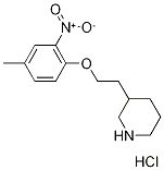 3-[2-(4-Methyl-2-nitrophenoxy)ethyl]piperidinehydrochloride Struktur