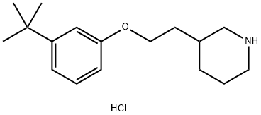 3-{2-[3-(tert-Butyl)phenoxy]ethyl}piperidinehydrochloride Struktur