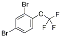 2,4-dibromo-1-(trifluoromethoxy)benzene Struktur