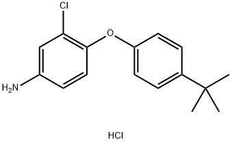 4-[4-(TERT-BUTYL)PHENOXY]-3-CHLOROPHENYLAMINEHYDROCHLORIDE Struktur