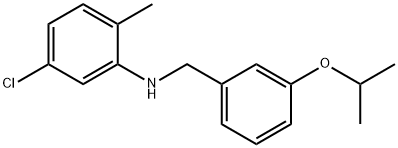 5-Chloro-N-(3-isopropoxybenzyl)-2-methylaniline Struktur