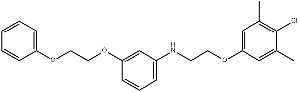 N-[2-(4-Chloro-3,5-dimethylphenoxy)ethyl]-3-(2-phenoxyethoxy)aniline Struktur