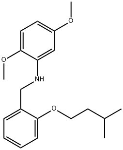 N-[2-(Isopentyloxy)benzyl]-2,5-dimethoxyaniline Struktur